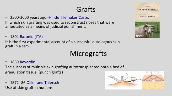 Diapositiva04 Diapositiva04